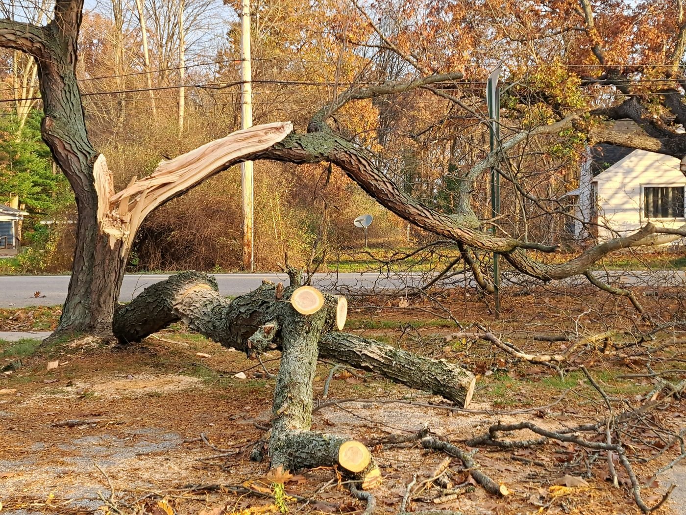 Large storm-damaged branch hanging precariously over a street, ready for emergency removal in Raleigh, NC