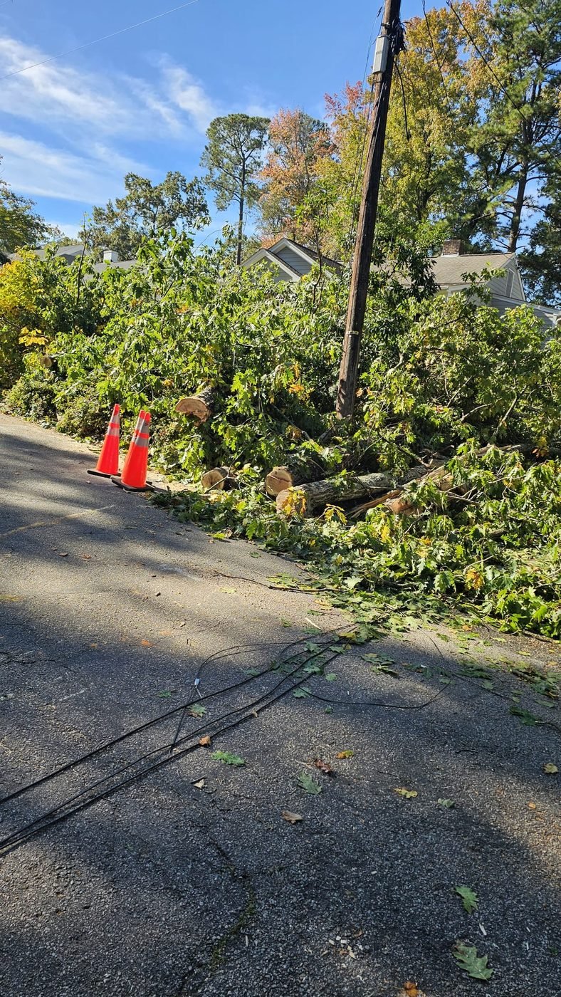 Downed tree and utility lines blocking a residential street after a storm in Raleigh, NC